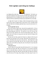 Tài liệu Kinh nghiệm nuôi trồng lan Cattleya pptx