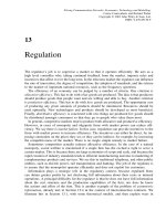 Tài liệu Pricing communication networks P13 pptx