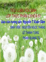 Tài liệu TIỂU LUẬN HÓA SINH LỚP THỰC PHẨM 2 KHOÁ 51 doc