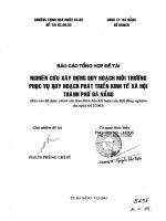 Nghiên cứu xây dựng quy hoạch môi trường phục vụ quy hoạch phát triển kinh tế xã hội TP  đà nẵng 