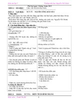 Bài giảng GIÁO ÁN LỚP 5 TUẦN 19 - 24