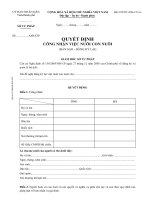 Tài liệu Quyết định công nhận việc nuôi con nuôi (Bản sao – Đăng ký lại) – mẫu sử dụng tại Sở Tư pháp doc