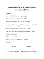 Tài liệu Cho phép thành lập hội có phạm vi hoạt động toàn quốc hoặc liên tỉnh pdf