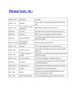 Tài liệu Phrasal Verb ( M ) doc