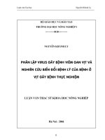 Phân lập virus gây bệnh viêm gan vịt và nghiên cứu biến đổi bệnh lý của bệnh ở vịt gây bệnh thực nghiệm 