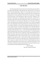 Xác định giá trị rủi ro của danh mục bằng phương pháp var 