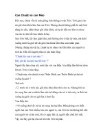 Tài liệu Con Chuột và con Mèo pptx