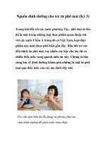 Tài liệu Nguồn dinh dưỡng cho trẻ từ phô mai (Kỳ 3) ppt