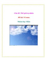 Tài liệu Chủ đề: Thế giới tự nhiên - Đề tài: Vẽ mưa - Nhóm lớp: Mầm pdf