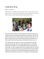 Tài liệu Cổ phiếu dầu khí pptx