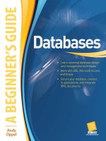 Tài liệu McGraw-Hill - Databases A Beginner_s Guide (2009)01 pptx
