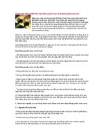 Tài liệu Thanh toán bằng VÀNG theo hợp đồng quyền chọn và phương pháp hạch toán pdf