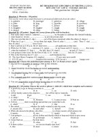 Tài liệu Khảo sát TAnh lớp 11 (DA)