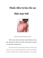 Tài liệu Thuốc điều trị bảo tồn suy thận mạn tính ppt