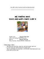 Tong hop kien thuc hoa9 