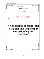Tài liệu Luận văn tốt nghiệp “Khả năng cạnh tranh mặt hàng rau quả tổng công ty rau quả, nông sản Việt Nam” pptx