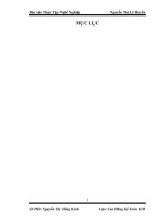 Tài liệu Nội Dung Báo Cáo Thực Tập Nghề Nghiệp doc