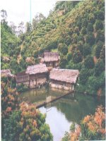 Gián án Bài 9 Sựphát triển và phân bố lâm nghiệp, thuỷ sản