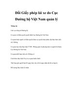 Tài liệu Đổi Giấy phép lái xe do Cục Đường bộ Việt Nam quản lý pdf