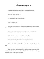 Tài liệu Vắc xin viêm gan B ppt