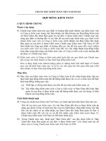 Tài liệu CHUẨN MỰC KIỂM TOÁN VIỆT NAM SỐ 210 (28tr) pdf