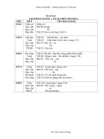 Gián án GIÁO ÁN TUẦN 22 LỚP MỘT ( CKTKN).DOC