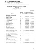 Tài liệu CTy Thủy Sản An Giang - Chuyển lưu tiền tệ quý 2 năm 2008 pptx