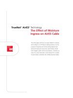 Tài liệu The Effect of Moisture docx