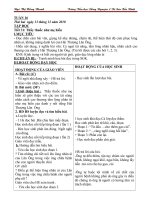 Bài soạn Lớp 5- T16