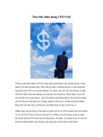 Tài liệu Tìm thử chân dung CEO Việt pptx