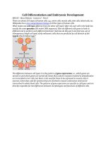 Tài liệu Cell Differentiation and Embryonic Development-chua doc pptx