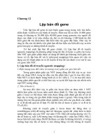 Tài liệu Chương 12: Lập bản đồ gene ppt