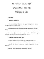 Tài liệu KẾ HOẠCH GIẢNG DẠY - Chủ đề: Chào năm mới - Lớp Lá ppt