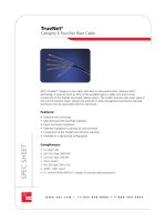 Tài liệu ADC KRONE - Datasheet - Cat 6 - Cable - 4pr Riser AirES docx