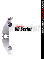 Tài liệu Learning_VB_Script pptx