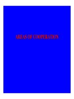Tài liệu Areas of cooperation doc