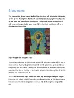 Tài liệu Brand name Tên thương hiệu ppt