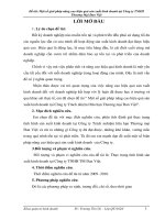 Một số giải pháp nâng cao hiệu quả sản xuất kinh doanh tại công ty trách nhiệm hữu hạn thương mại đan việt 