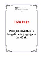 Tài liệu Tiểu luận 