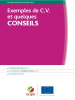 Exemples de CV et quelques CONSEILS 