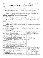 Tài liệu Giao an - Cong nghe 7