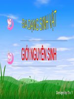 Tài liệu Sinh giới nguyên sinh docx