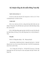 Tài liệu Kỹ thuật trồng đu đủ miền Đông Nam Bộ ppt