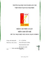 NHẬN DIỆN mẫu BẰNG MẠNG NƠRON 