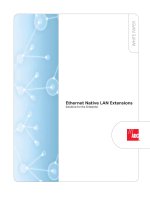 Tài liệu ADC KRONE - Guide Book - Ethernet Native LAN Extensions docx