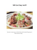 Tài liệu Mề Gà Cháy SaTế docx
