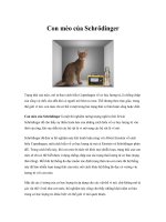 Tài liệu Con mèo của Schrödinger pdf