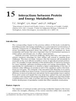 Tài liệu Quantitative aspects of ruminant digestion and metabolism - Phần 12 docx