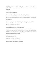 Tài liệu Cấp Giấy phép kinh doanh hàng không chung cho tổ chức, cá nhân Việt Nam pdf