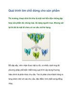 Tài liệu Quá trình tìm chỗ đứng cho sản phẩm doc